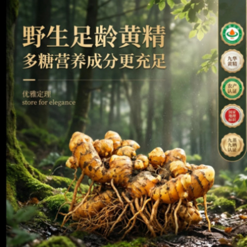 菁选灵创全场景AIGC创作展示